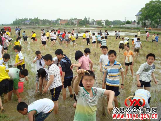 城关镇东北街小学组织学生到罗家坪村参加社会实践活动