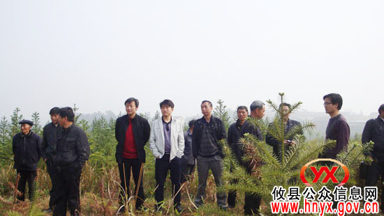 攸县槚山乡坚持并村换届与产业发展“两不误”