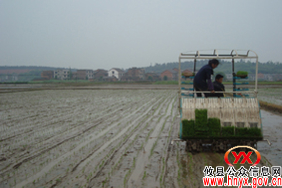 攸县农机局举办水稻机插秧现场演示会