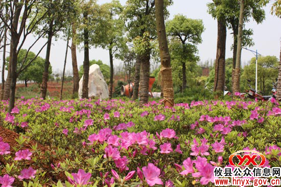 攸县县城文化园一期工程可望年底“闪亮登场”