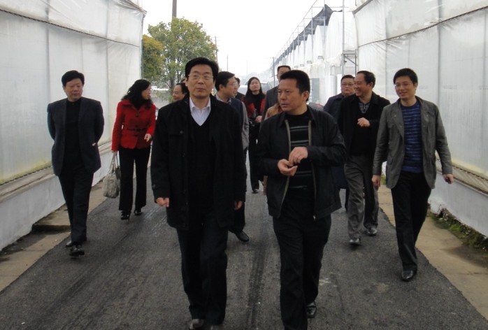 王秋沙来示范区考察