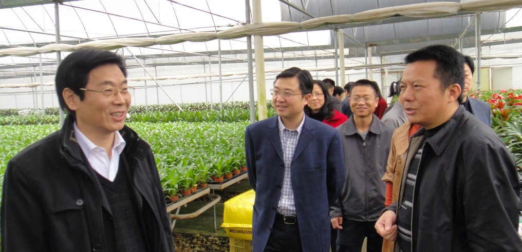 王秋沙来示范区考察