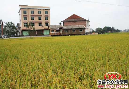 攸县再次列入国家农综开发高标准农田建设示范县