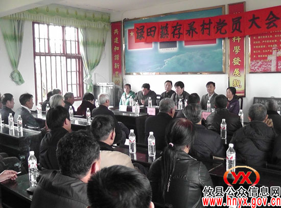 攸县渌田镇13个村已经完成支部换届工作