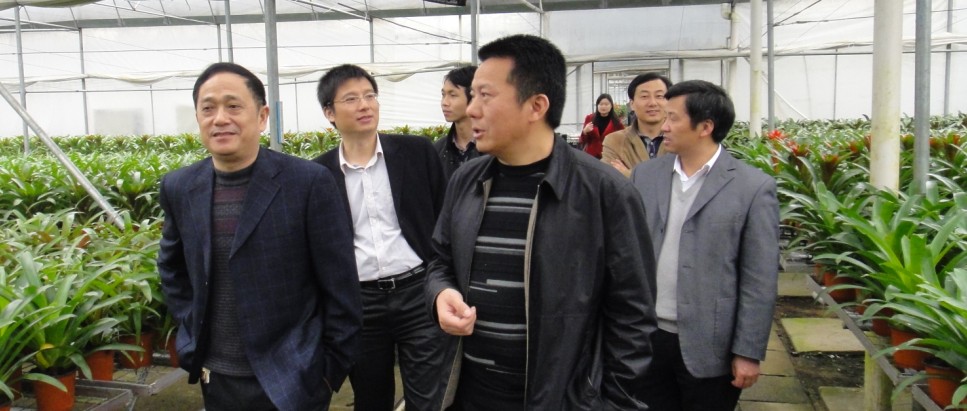 陈建泽一行来示范区调研