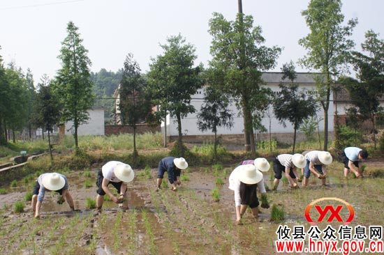 省委党校部分学员来攸县开展 “驻村入户体察民情”活动