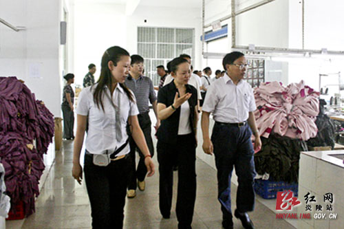 省政协副主席武吉海来炎调研县域经济转型发展