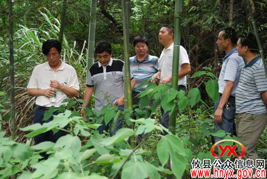 省文物局熊建华一行来攸县调研文物保护与开发利用工作