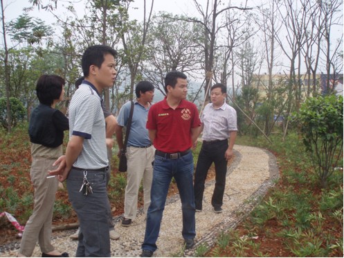 区城建局局长肖立志督察醴陵创园绿化提质改造项目