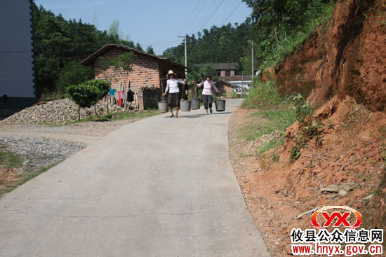 【创先争优】心系群众的村民小组长 ——记湖南坳乡双田村岭上屋组党员组长董雪光
