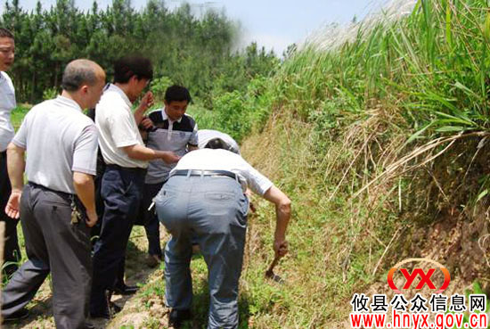 省文物局熊建华一行来攸县调研文物保护与开发利用工作
