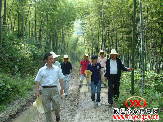 攸县林业局组织有关人员赴赣闽等地考察竹产业