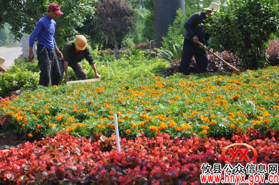 攸县市政园林管理处将换植8万盆鲜花为城区添彩