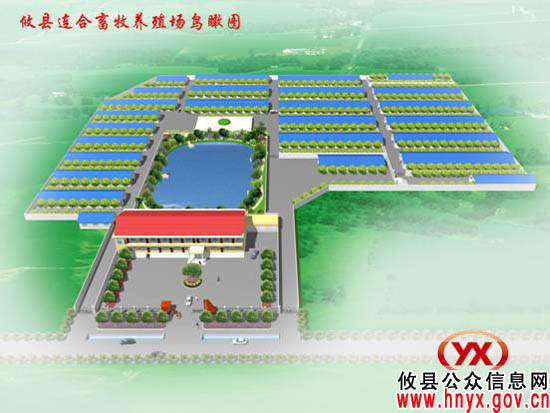 攸县首家台资养殖场正在网岭镇里旺村加紧兴建