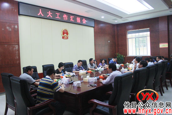 市人大常委会副主任张政佳来攸县进行专题调研