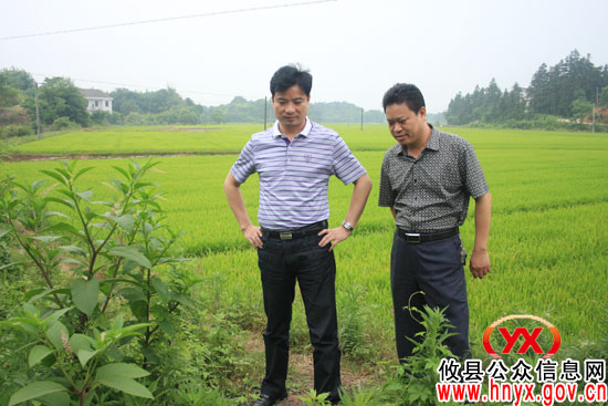 【奋力抗旱】谭伟生率相关部门负责人到新市镇指导抗旱