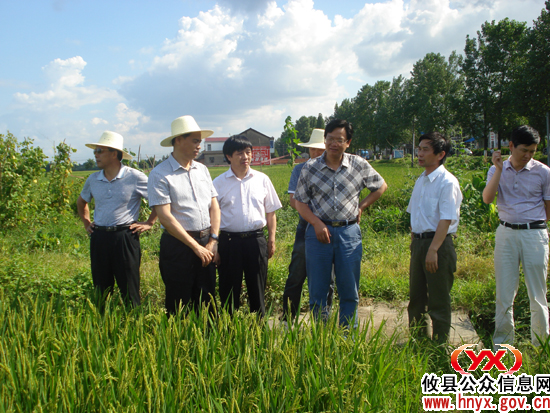 省农业厅巡视员青先国一行到攸县督查粮食生产