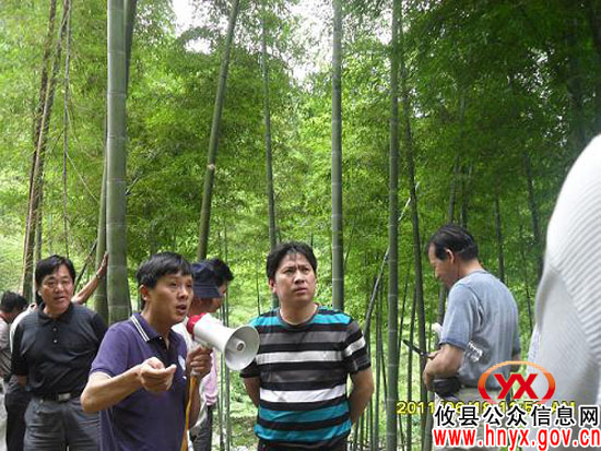 攸县鸾山镇组织有关人员赴江西安福县考察南竹产业