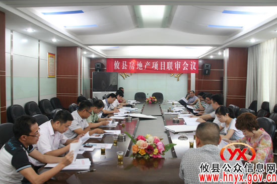 攸县召开东港豪庭商住楼、新天地商业街项目联合审批会议