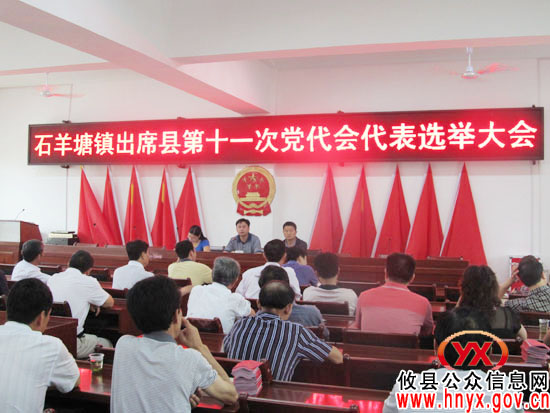 攸县石羊塘镇积极推选党代表参加县第十一次党代会