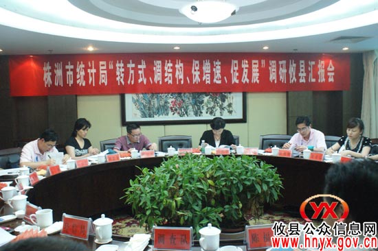 市统计局副局长信长华一行来攸县进行专题调研