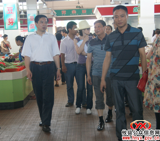 省人大常委会调研组来攸县进行开展专题调研