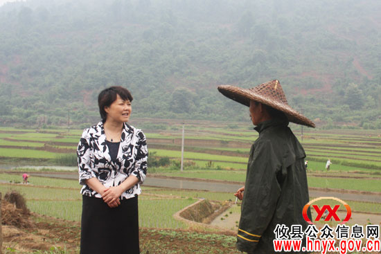 【奋力抗旱】谈湘旭一行到柏市镇指导抗旱工作