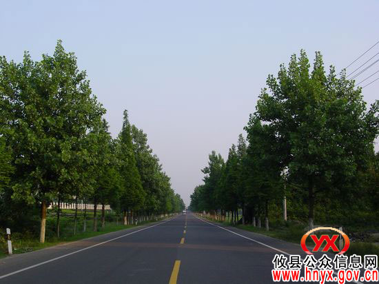【创先争优】打造绿色新城 实现兴林强县——记攸县林业局党委