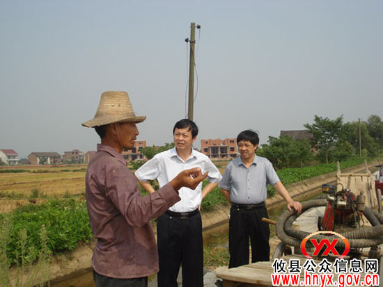 陈可勇一行下乡视察“双抢”