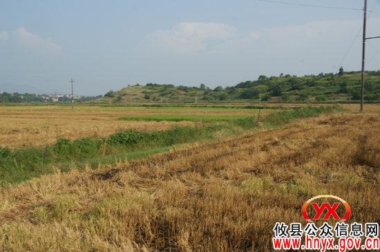攸县上云桥镇4000余亩农田盼“解渴”
