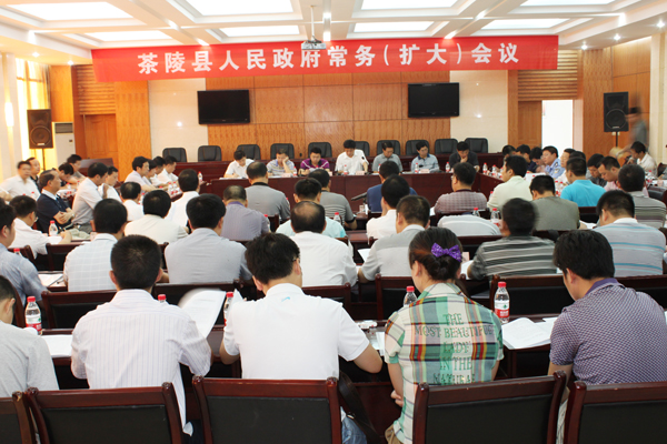 茶陵县召开政府常务（扩大）会议