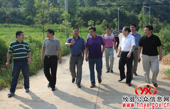 市“党建帮扶”工作督查组来攸县进行专项工作督查