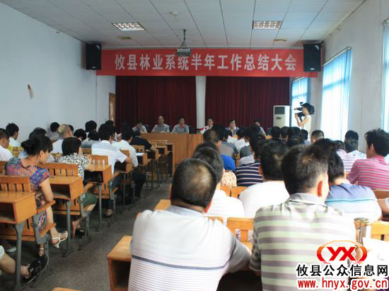攸县林业局召开会议进行全系统半年工作总结