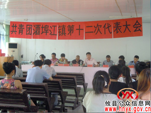 共青团攸县酒埠江镇第十二次代表大会召开