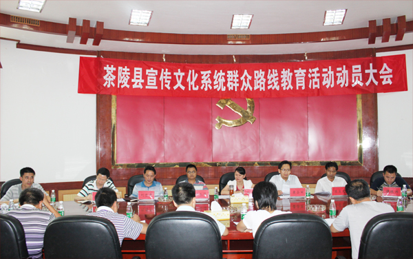 茶陵县召开宣传文化系统群众路线教育活动动员大会