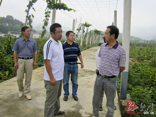 农大教授＂把脉＂炎陵蔬菜产业基地建设