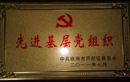 环卫党总支荣获“先进基层党组织”称号