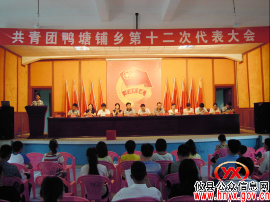 攸县乡镇团的基层组织格局创新工作拉开序幕