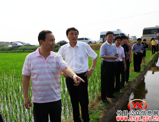 副省长徐明华一行来攸县视察农业和农村工作