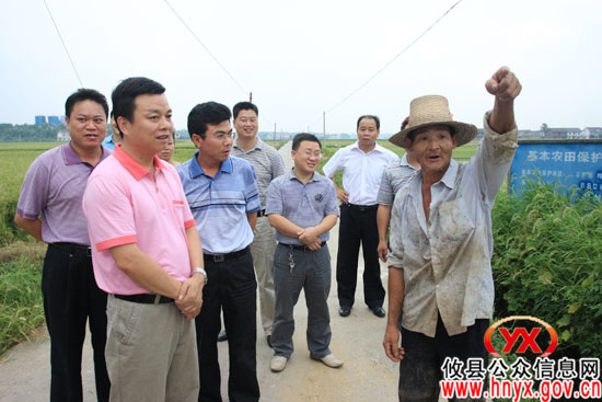 胡湘之一行到新市镇视察“双抢”和抗旱工作