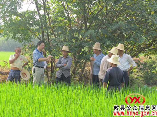 攸县石羊塘镇启动应急预案积极组织抗旱