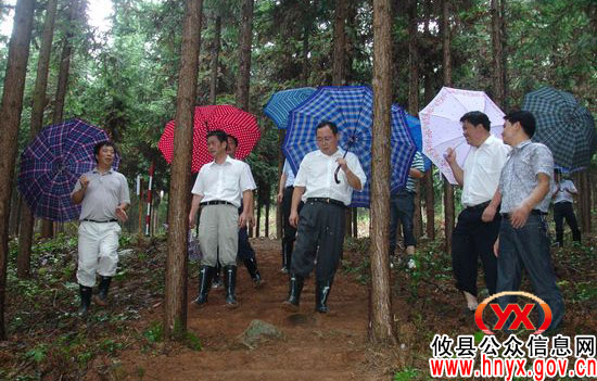 省林业厅副厅长唐苗生一行到攸县黄丰桥国有林场视察