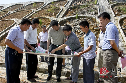 龙志华:高起点规划 高标准建设 加速西园建设步伐
