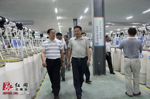 副市长张汉华到我县督查安全生产工作