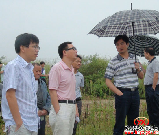 谭伟生一行对渌田镇永乐江水电站项目进行实地论证