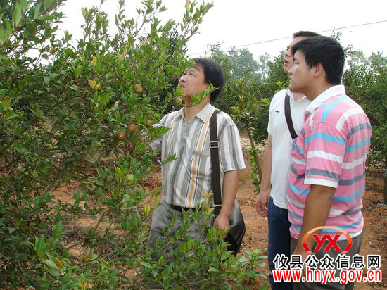省林科院派专家来攸县督查油茶有害生物专项调查工作