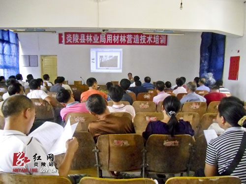学习用材林营造技术 促进林农增效致富