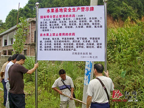 霞阳镇水果竖牌销售