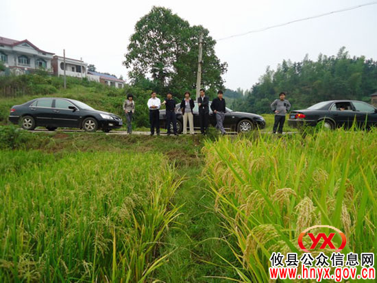 省粮食生产考核组再次来攸县进行粮食生产考核