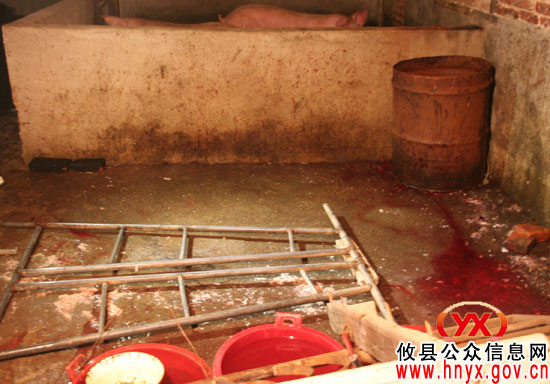今晨，攸县多部门联合依法端掉一处非法屠宰窝点